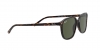 RB2193 Leonard Sunglasses