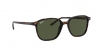 RB2193 Leonard Sunglasses