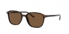 RB2193 Leonard Sunglasses