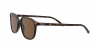 RB2193 Leonard Sunglasses