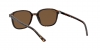 RB2193 Leonard Sunglasses