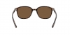 RB2193 Leonard Sunglasses