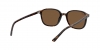 RB2193 Leonard Sunglasses