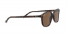 RB2193 Leonard Sunglasses