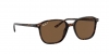 RB2193 Leonard Sunglasses