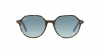 RB2195 Thalia Sunglasses