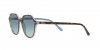 RB2195 Thalia Sunglasses