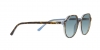 RB2195 Thalia Sunglasses