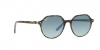RB2195 Thalia Sunglasses