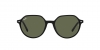 RB2195 Thalia Sunglasses