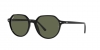 RB2195 Thalia Sunglasses
