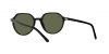 RB2195 Thalia Sunglasses