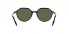 RB2195 Thalia Sunglasses