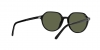 RB2195 Thalia Sunglasses