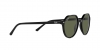 RB2195 Thalia Sunglasses