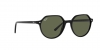RB2195 Thalia Sunglasses
