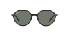 RB2195 Thalia Sunglasses