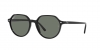 RB2195 Thalia Sunglasses