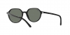 RB2195 Thalia Sunglasses