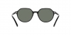 RB2195 Thalia Sunglasses