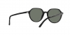 RB2195 Thalia Sunglasses