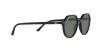 RB2195 Thalia Sunglasses