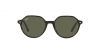 RB2195 Thalia Sunglasses