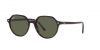 RB2195 Thalia Sunglasses