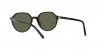 RB2195 Thalia Sunglasses