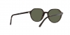 RB2195 Thalia Sunglasses