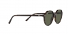 RB2195 Thalia Sunglasses