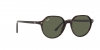 RB2195 Thalia Sunglasses