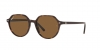 RB2195 Thalia Sunglasses