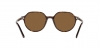 RB2195 Thalia Sunglasses