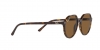 RB2195 Thalia Sunglasses