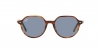 RB2195 Thalia Sunglasses