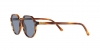RB2195 Thalia Sunglasses
