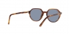 RB2195 Thalia Sunglasses