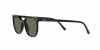 RB2197F Elliot Sunglasses