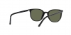 RB2197F Elliot Sunglasses