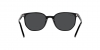 RB2197F Elliot Sunglasses