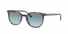 RB2197 Elliot Sunglasses