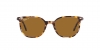 RB2197 Elliot Sunglasses