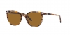 RB2197 Elliot Sunglasses