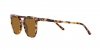 RB2197 Elliot Sunglasses