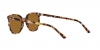 RB2197 Elliot Sunglasses