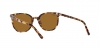 RB2197 Elliot Sunglasses