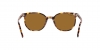 RB2197 Elliot Sunglasses