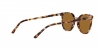 RB2197 Elliot Sunglasses
