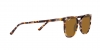 RB2197 Elliot Sunglasses
